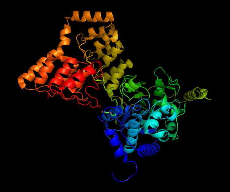 Myosin-light-chain phosphatase