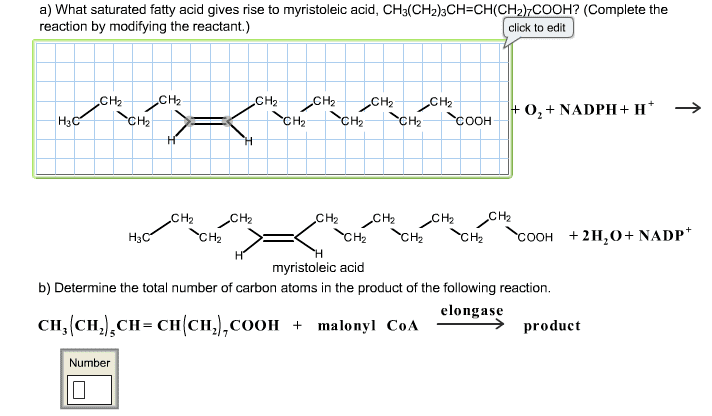 Myristoleic acid What Saturated Fatty Acid Gives Rise To Myristolei Cheggcom