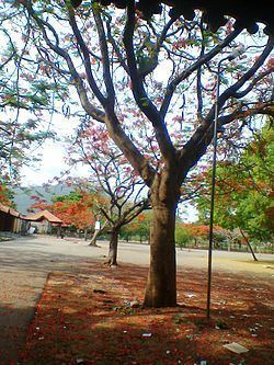 Mysore East httpsuploadwikimediaorgwikipediacommonsthu