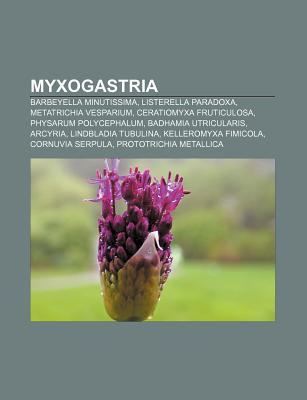 Myxogastria - Alchetron, The Free Social Encyclopedia