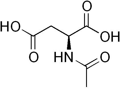 N-Acetylaspartic acid httpsuploadwikimediaorgwikipediacommonsaa