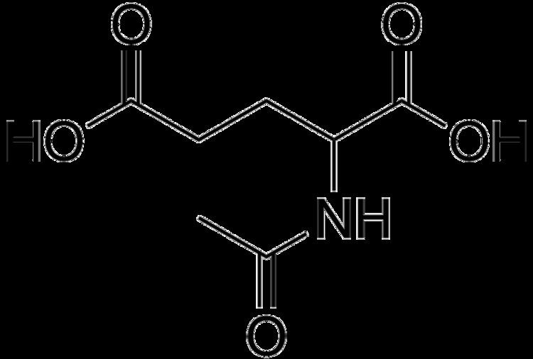 N-Acetylglutamic acid httpsuploadwikimediaorgwikipediacommonsthu