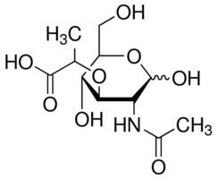 N-Acetylmuramic acid NAcetylmuramic acid 98 SigmaAldrich