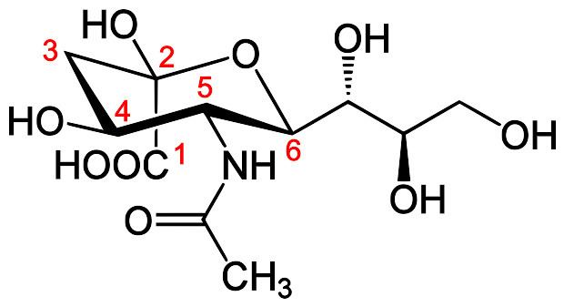 N-Acetylneuraminic acid FileBeta NAcetylneuraminic Acid numsvg Wikimedia Commons