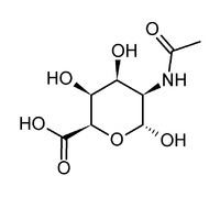N-Acetyltalosaminuronic acid httpsuploadwikimediaorgwikipediacommonsthu