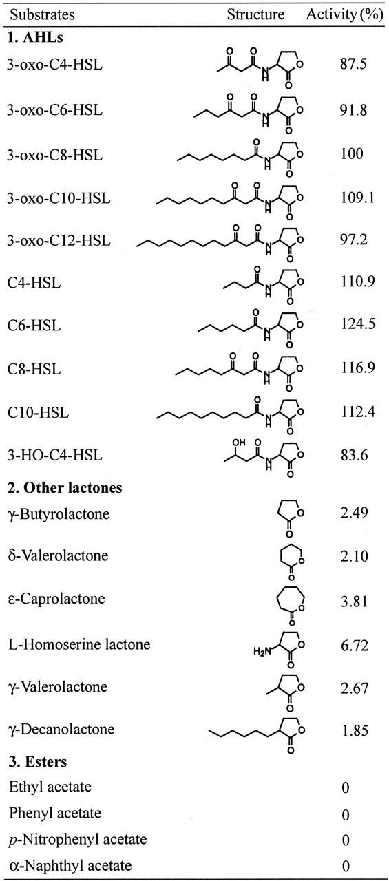 N-Acyl homoserine lactone Specificity and Enzyme Kinetics of the Quorumquenching NAcyl