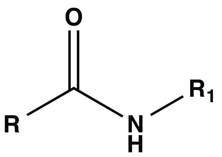 N-Acylamides