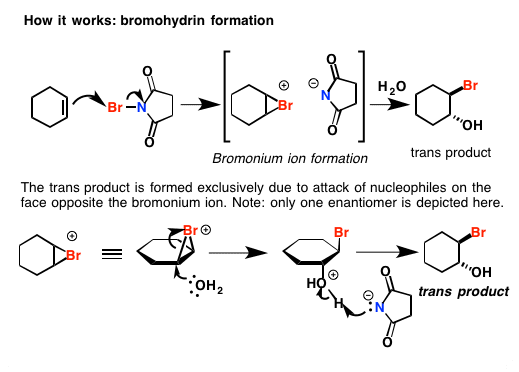 N-Bromosuccinimide An introduction to NBS Nbromo succinimide as a reagent in organic