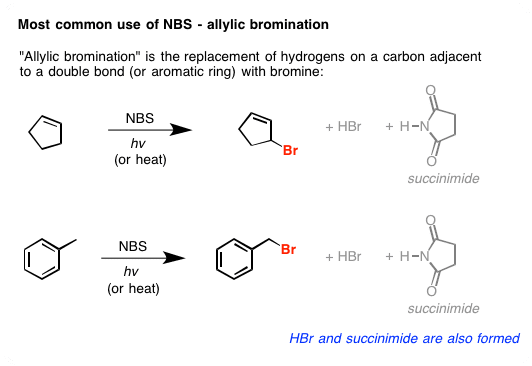 N-Bromosuccinimide An introduction to NBS Nbromo succinimide as a reagent in organic