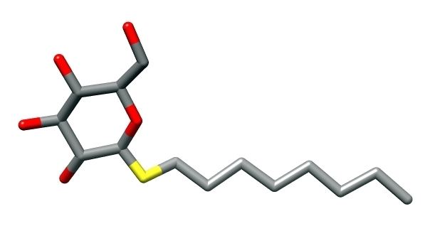 N-Octyl beta-D-thioglucopyranoside