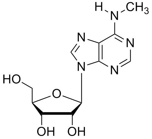 N6-Methyladenosine FileN6methyladenosinepng Wikimedia Commons