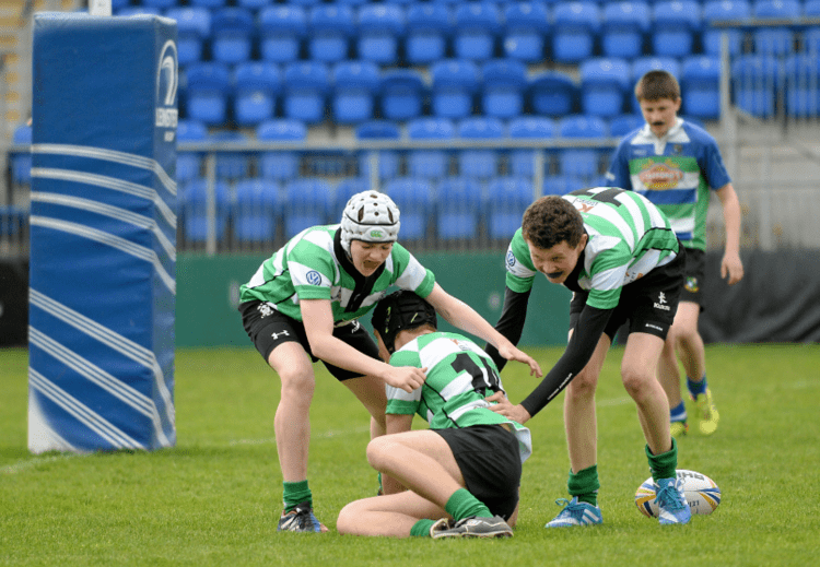 Naas RFC Domestic Newsroom News amp Events Leinster Domestic Rugby