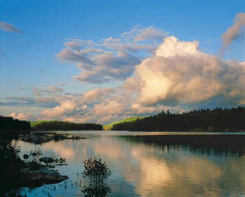 Nadine Blacklock Pickerel Lake by Craig and Nadine Blacklock