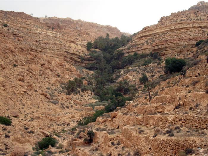 Nafusa Mountains Jado Fessatu or Jadu in Nafousa Nafusa Mountain Libya