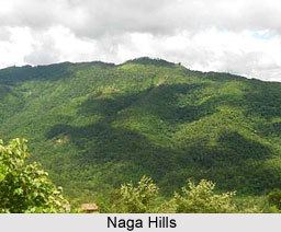 Naga Hills wwwindianetzonecomphotosgallery70NagaHills