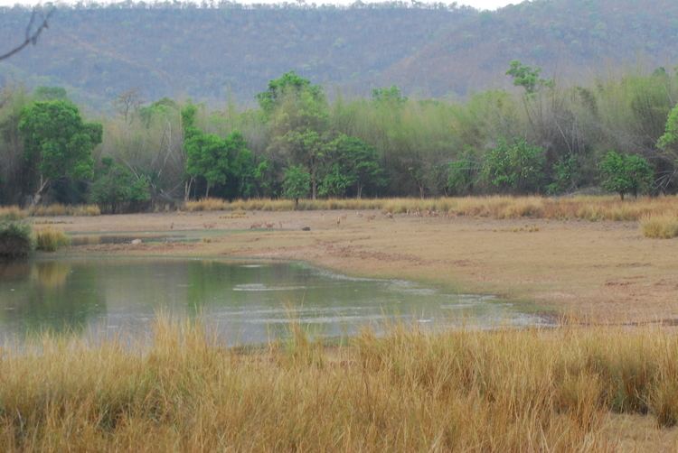 Nagarjunsagar-Srisailam Tiger Reserve httpshyticosfileswordpresscom201301dsc37