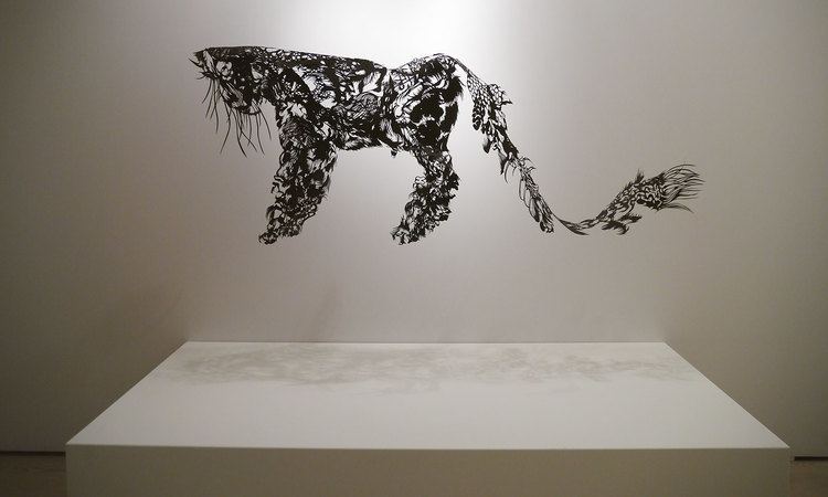 Nahoko Kojima Solo Kojima Paper Cut Art Sculpture Design Consultants