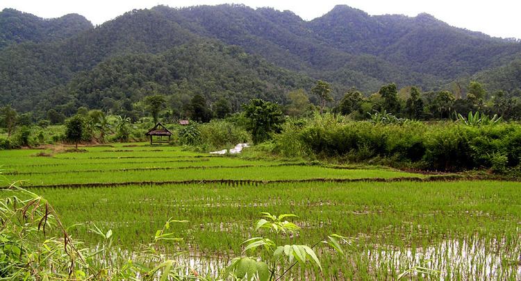 Nai Soi Hill tribe village Ban Nai Soi Mae Hong Son Northern Thailand
