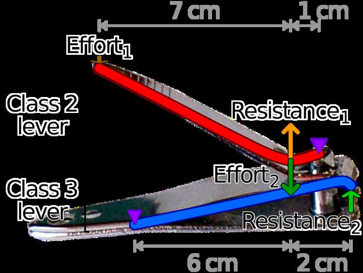 first-nail-clipper-invented-nail-ftempo