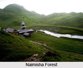 Naimisha Forest NaimishaForest1jpg