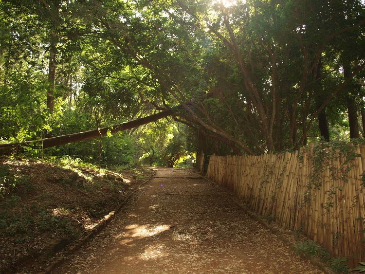 Nairobi Arboretum Nairobi Arboretum danieljamesmoore