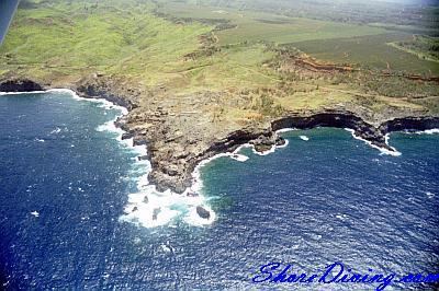 Nakalele Point Scuba Shore Diving Site Page for Nakalele Point of Maui Hawaiian