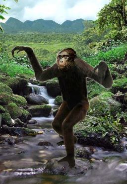 Nakalipithecus Ancestors of the Apes Peron Rants