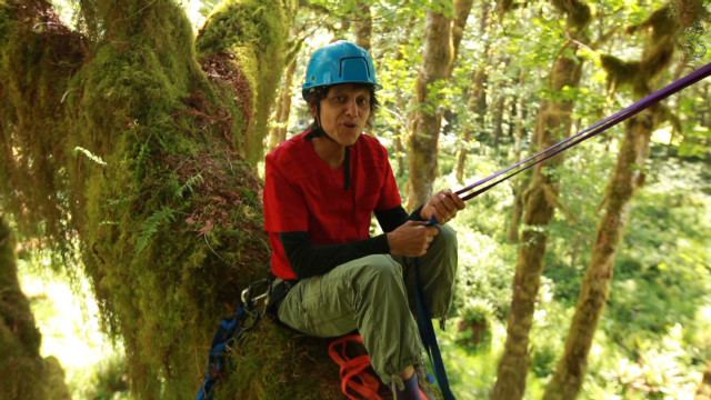 Nalini Nadkarni Nalini Nadkarni The treeclimbing scientist who brings