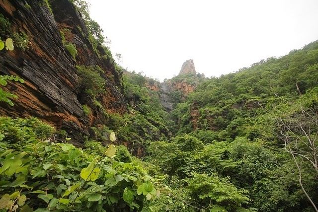 Nallamala Hills Nallamala Hills A Dense Forest of Andhra Pradesh India Tourism
