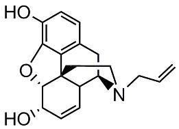 Nalorphine Lipomed AG Available References NalorphineHCl