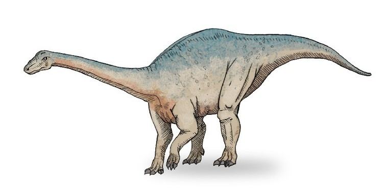 Nambalia imagesdinosaurpicturesorgNambalia4643jpg