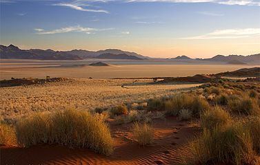 Namib httpsuploadwikimediaorgwikipediacommonsthu