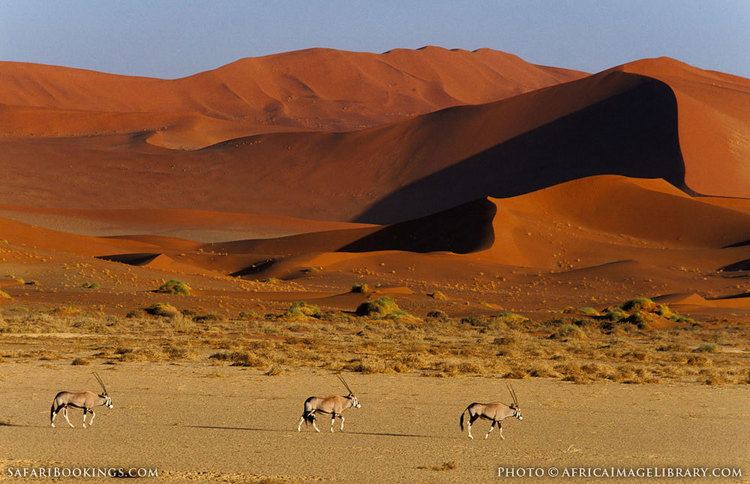 Namib-Naukluft National Park NamibNaukluft NP Photos Images amp Pictures