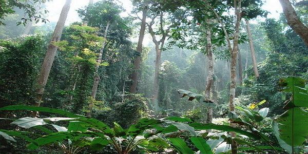 Namtok Mae Surin National Park Namtok Mae Surin National Park Attractions in Mae Hong Son