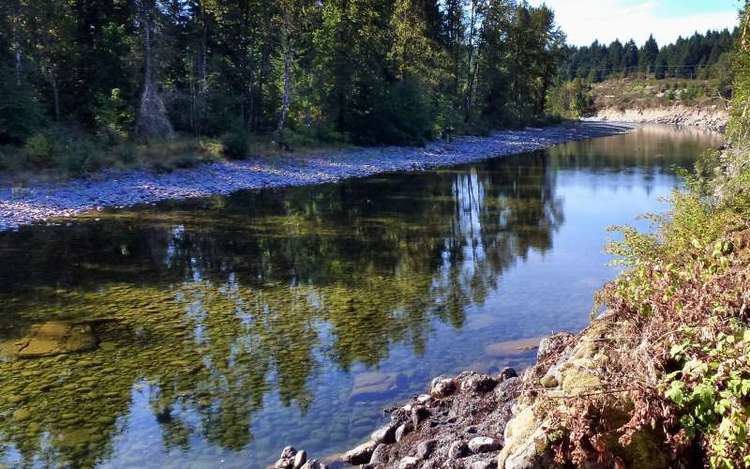 Nanaimo River Nanaimo River Regional Park wading pools flat rocks tall trees