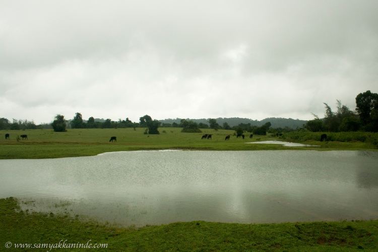 Nanded Beautiful Landscapes of Nanded