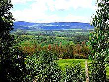 Nandi Hills, Kenya httpsuploadwikimediaorgwikipediacommonsthu