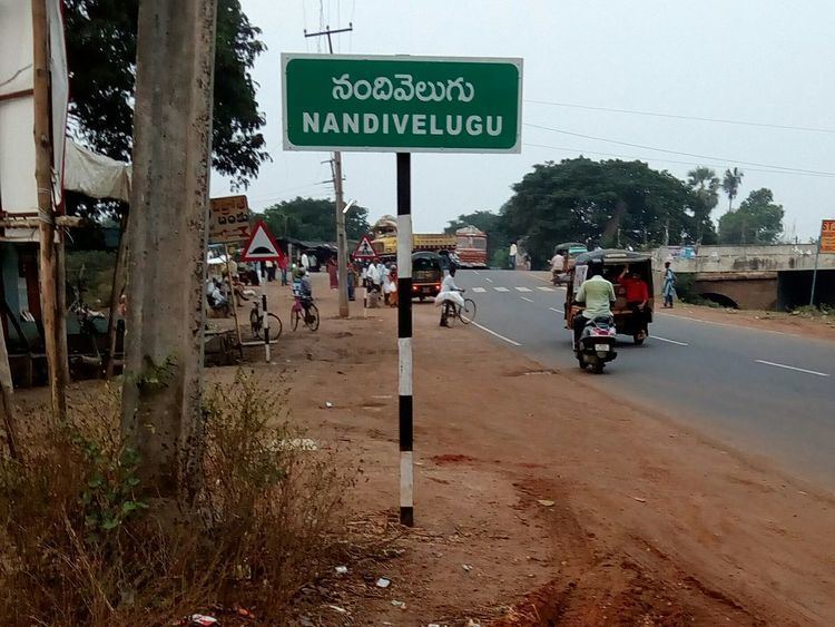Nandivelugu