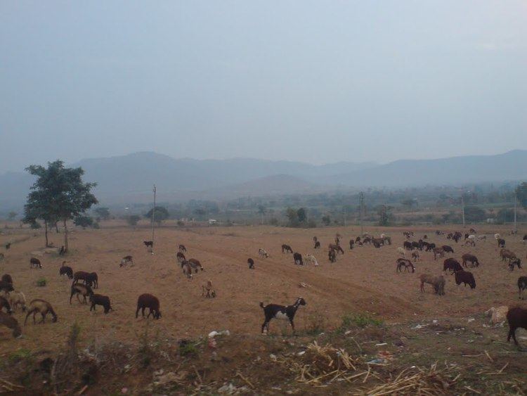 Nanjangud Beautiful Landscapes of Nanjangud