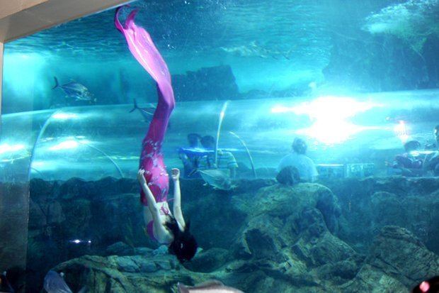 Nanjing Underwater World