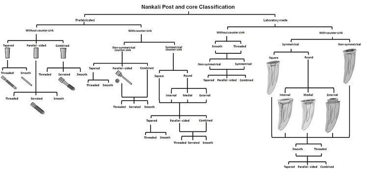 Nankali post and core classification