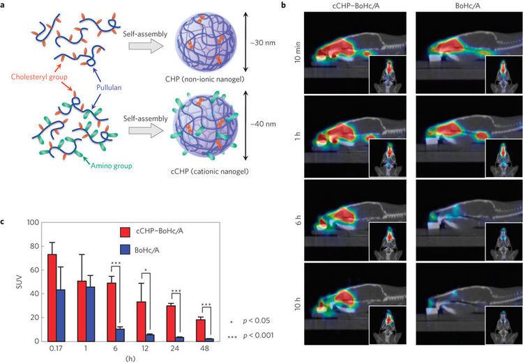 Nanogel Nanogel antigenic proteindelivery system for adjuvantfree