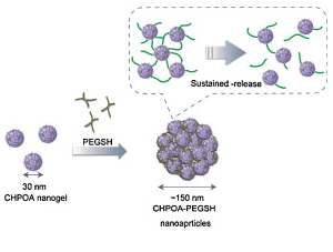Nanogel Dual crosslinked hydrogel nanoparticles by nanogel bottomup method