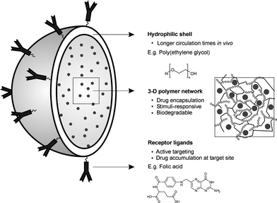Nanogel Advanced nanogel engineering for drug delivery Soft Matter RSC
