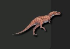 Nanosaurus Dinosaurs jurassic dinosaurs jurassic era and jurassic period