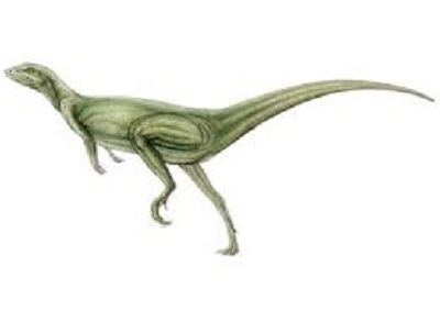 Nanosaurus Nanosaurus Dinosaur Facts Dinosaurs Pictures and Facts