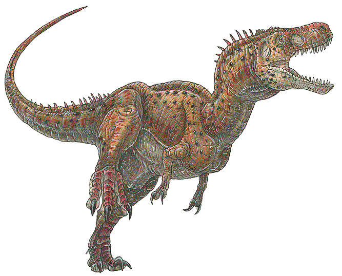 Nanotyrannus dinosaurworldcomtyrannosaursimagesnanotyrannu