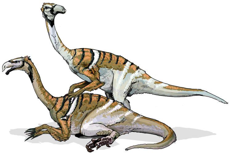 Nanshiungosaurus FileNanshiungosaurus dinosaurpng Wikimedia Commons