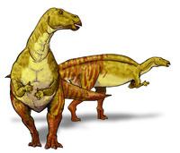 Nanyangosaurus httpsuploadwikimediaorgwikipediacommonsthu