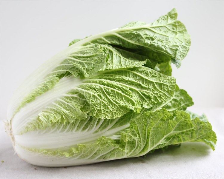 Napa cabbage Quick Vegetarian Napa Cabbage Kim Chi Kimchee Recipe Jeanette39s